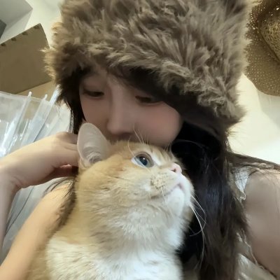 呆瓜向前冲